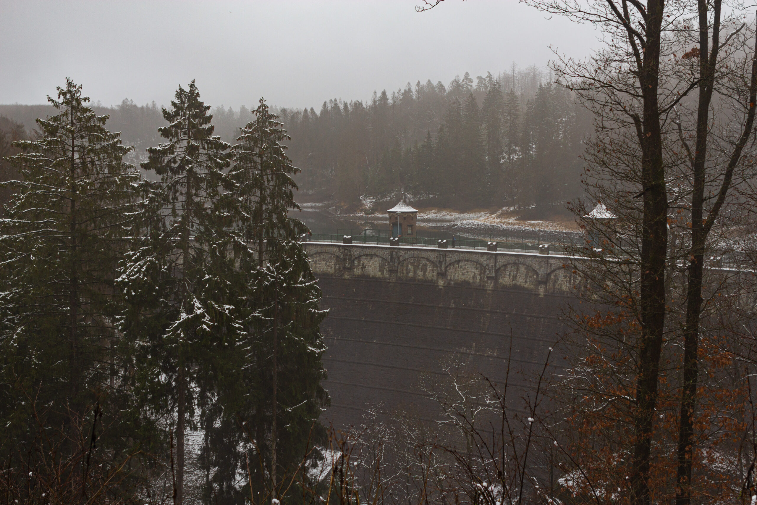 Fototour: Schnee im Sengbachtal - Vordergrundbild