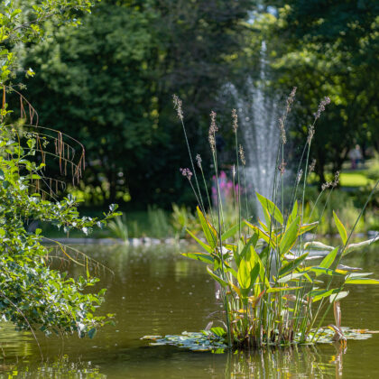 Park Reitersdorf - Bad Honnef' - Hintergrundbild