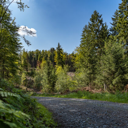 Spaziergang: Glüder - Sengbachtal' - Hintergrundbild