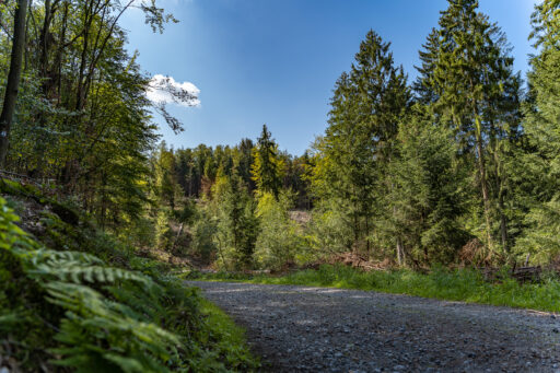 Spaziergang: Glüder - Sengbachtal - Vordergrundbild