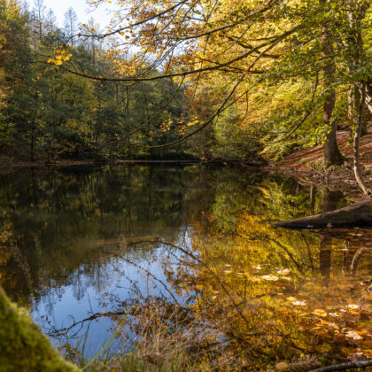 Spaziergang: Gräfrath - Kleiner Waldsee' - Hintergrundbild