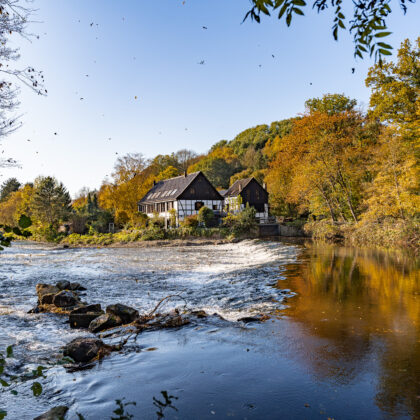 Fototour: Herbst in Solingen' - Hintergrundbild