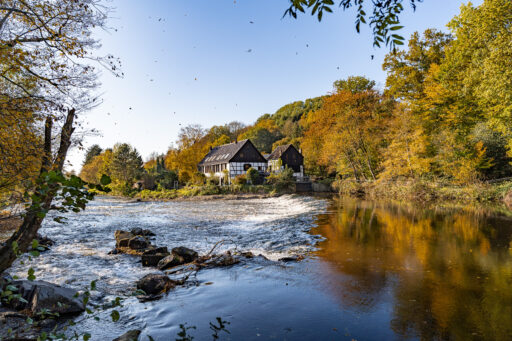 Fototour: Herbst in Solingen - Vordergrundbild