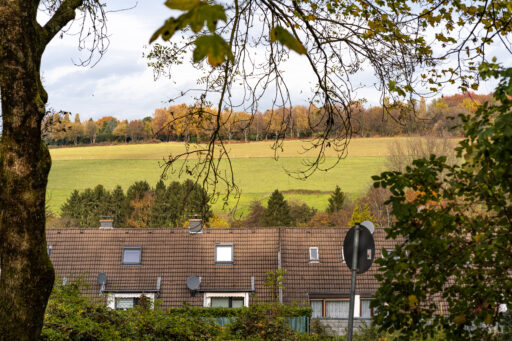 Spaziergang: Korkenziehertrasse & Parkfriedhof - Vordergrundbild