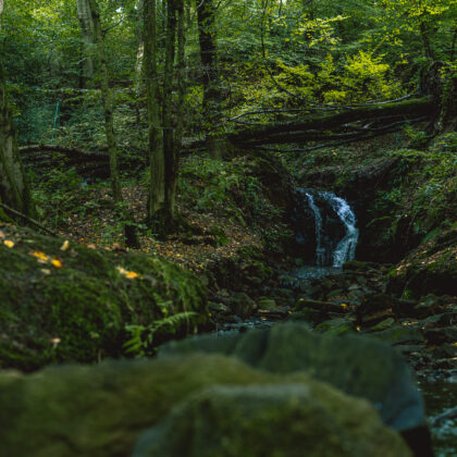 Kohlfurth' - Hintergrundbild