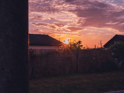 Spaziergang am Abend - Vordergrundbild